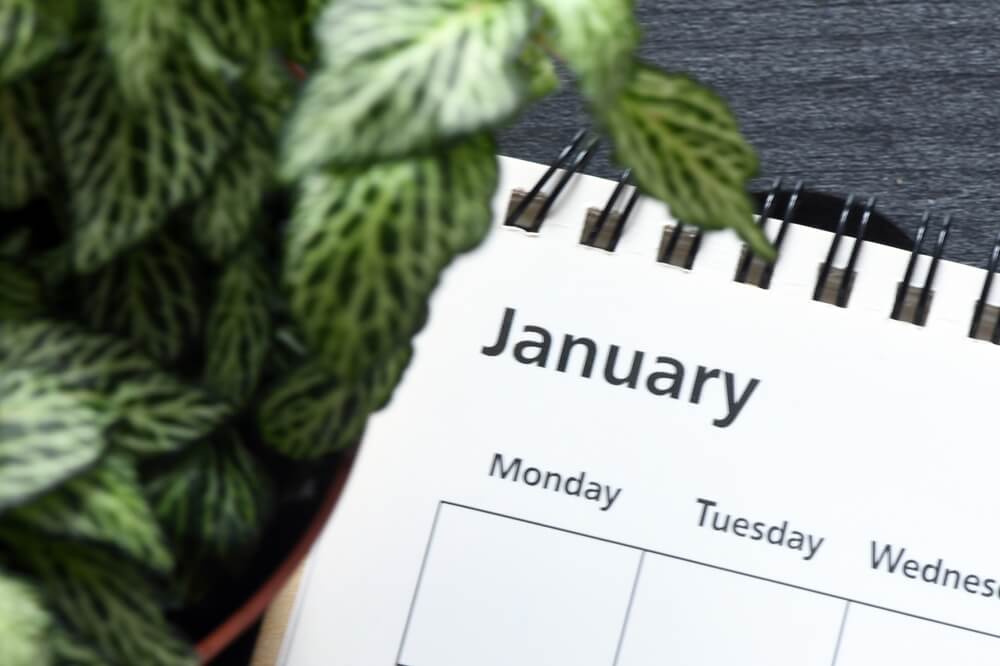 Navigating Sobriety: Understanding Dry January and Its Impact on Recovery