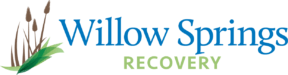 Willow Springs Recovery | Texas Addiction Treatment Center