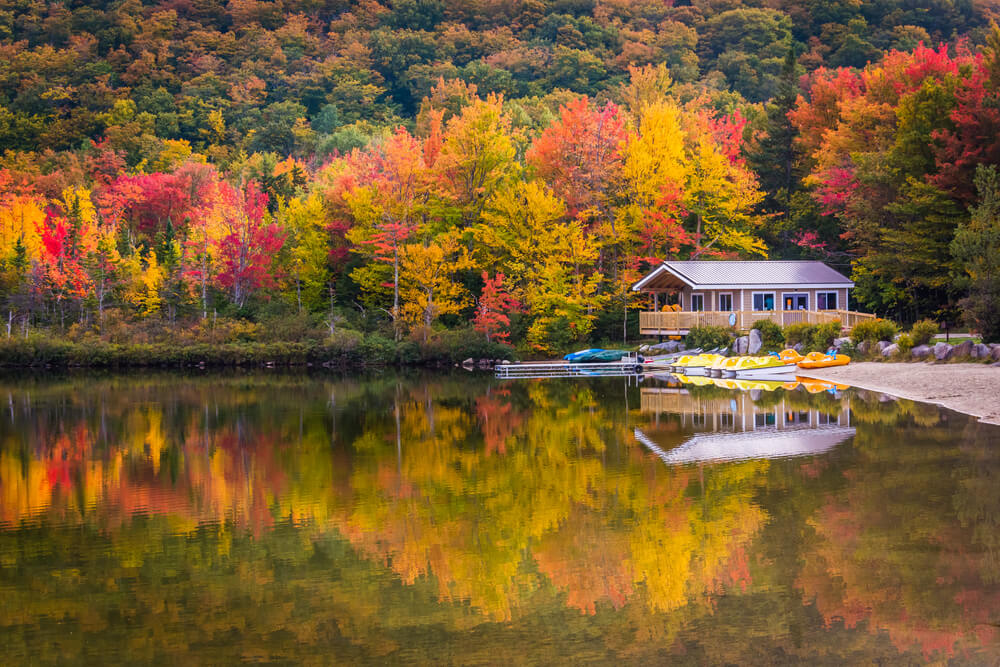 New Hampshire Rehabs