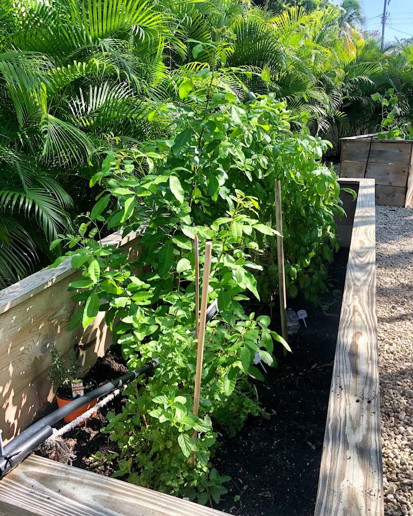 Kinder in the Keys Treatment Center