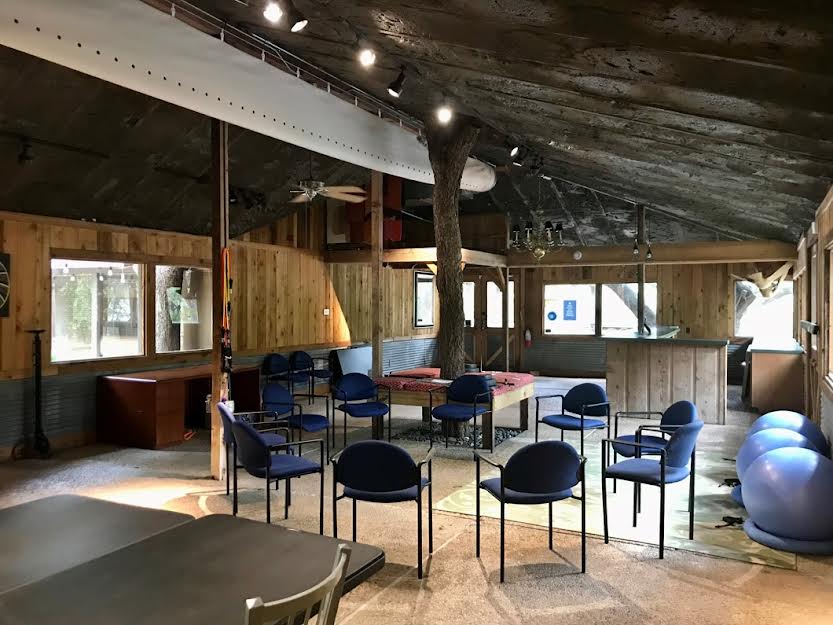 The Detox Center