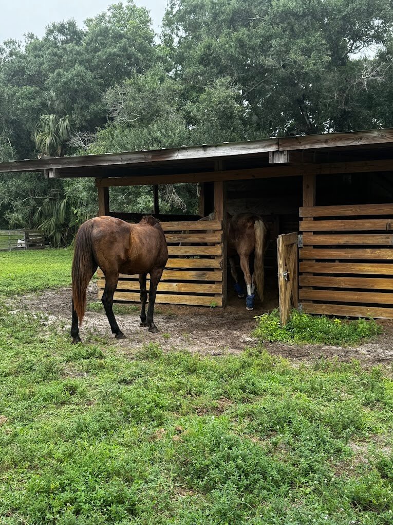 Brighten Bay FL, LLC