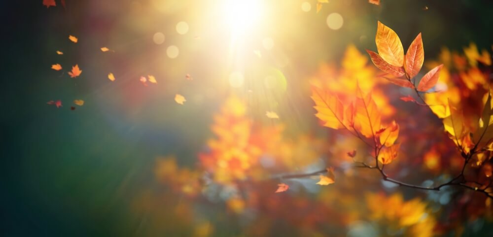 Preparing for Fall: Creating a Sober Plan Before the Holidays