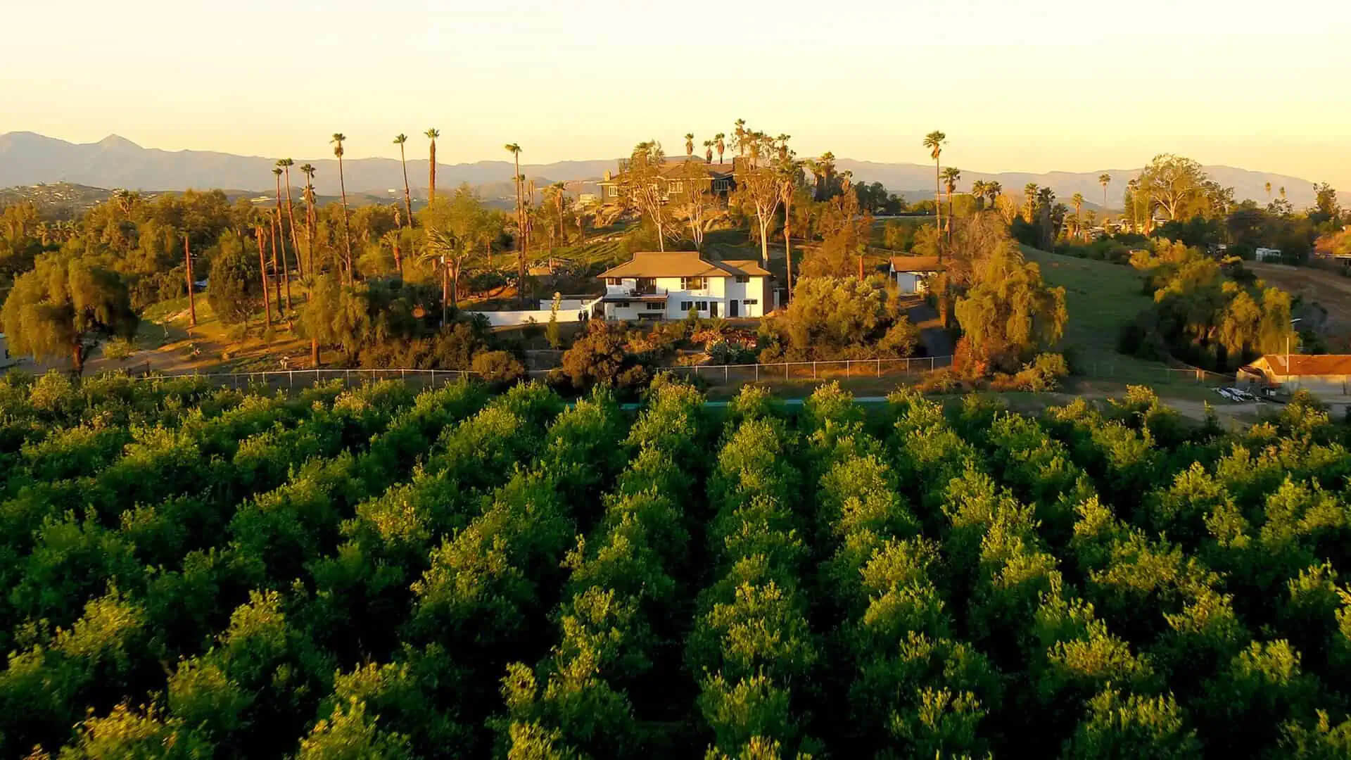 pH Wellness Alcohol and Drug Rehab Riverside California